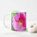 Search for trust in the lord mugs Floral