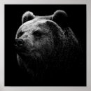 Search for grizzly bear picture posters Bears