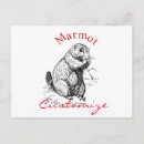 Search for gopher postcards Mammal