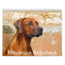Search for rhodesian ridgeback gifts Pet