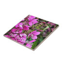 Search for bumblebee tiles Wildlife