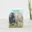 Search for exceptional cards Photography