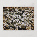 Search for enhance postcards Unique