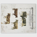 Search for dairy wrapping paper Vintage