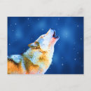 Search for grey wolves postcards Nature