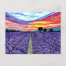 Search for lavender watercolor postcards Field