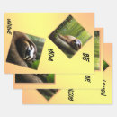 Search for hairy wrapping paper Animal