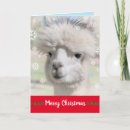 Search for alpaca christmas cards Funny