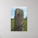 Search for fence post Photography