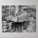 Search for wheelbarrow art Floral