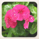 Search for macro coasters Pretty