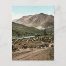 Search for round postcards Vintage