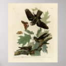 Search for whipping posters Lithograph