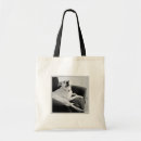 Search for text message bags Funny