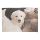 Search for cute dog pillowcases Golden retriever
