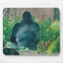 Search for silverback gorilla electronics Primate