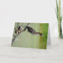Search for wetlands cards Bird