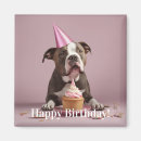 Search for cake magnets Cute