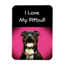 Search for pitbuls magnets Dog