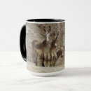 Search for burro mugs Cute