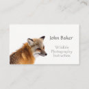 Search for wildlife business cards Fox