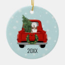 Search for bearded collie gifts Xmas