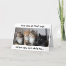 Search for silly faces postcards Photography