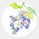 Search for potatoe stickers Floral
