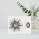 Search for vintage astrology postcards Zodiac