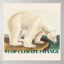 Search for arctic bear posters Climate change