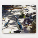 Search for bird family electronics Penguins