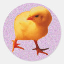 Search for the hatch stickers Yellow