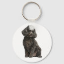 Search for black poodle key rings Puppies
