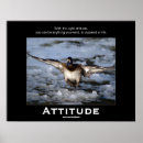 Search for bufflehead Wildlife