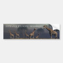 Search for herding bumper stickers Animal