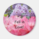 Search for rhododendron magnets Nature