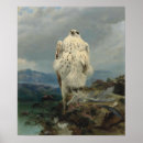 Search for gyrfalcon posters Bird