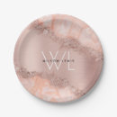 Search for geode paper plates Amethyst