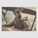 Search for airplane tissue paper Funny