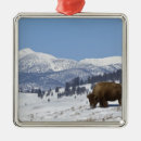 Search for wild one christmas tree decorations Environment