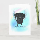 Search for black labrador note cards Pet