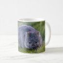 Search for wombats mugs Australia
