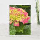 Search for hydrangea note cards Garden