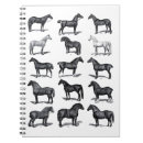 Search for horse notebooks Dressage