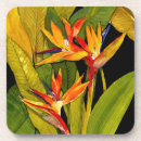 Search for tropical coasters Floral