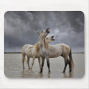 Search for horse mouse mats Stallion