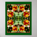Search for yellow tulip posters Botanical