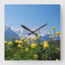 Search for swiss clocks Flower