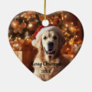 Search for golden retriever christmas decor Pet