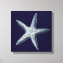 Search for shell canvas prints Sea shells